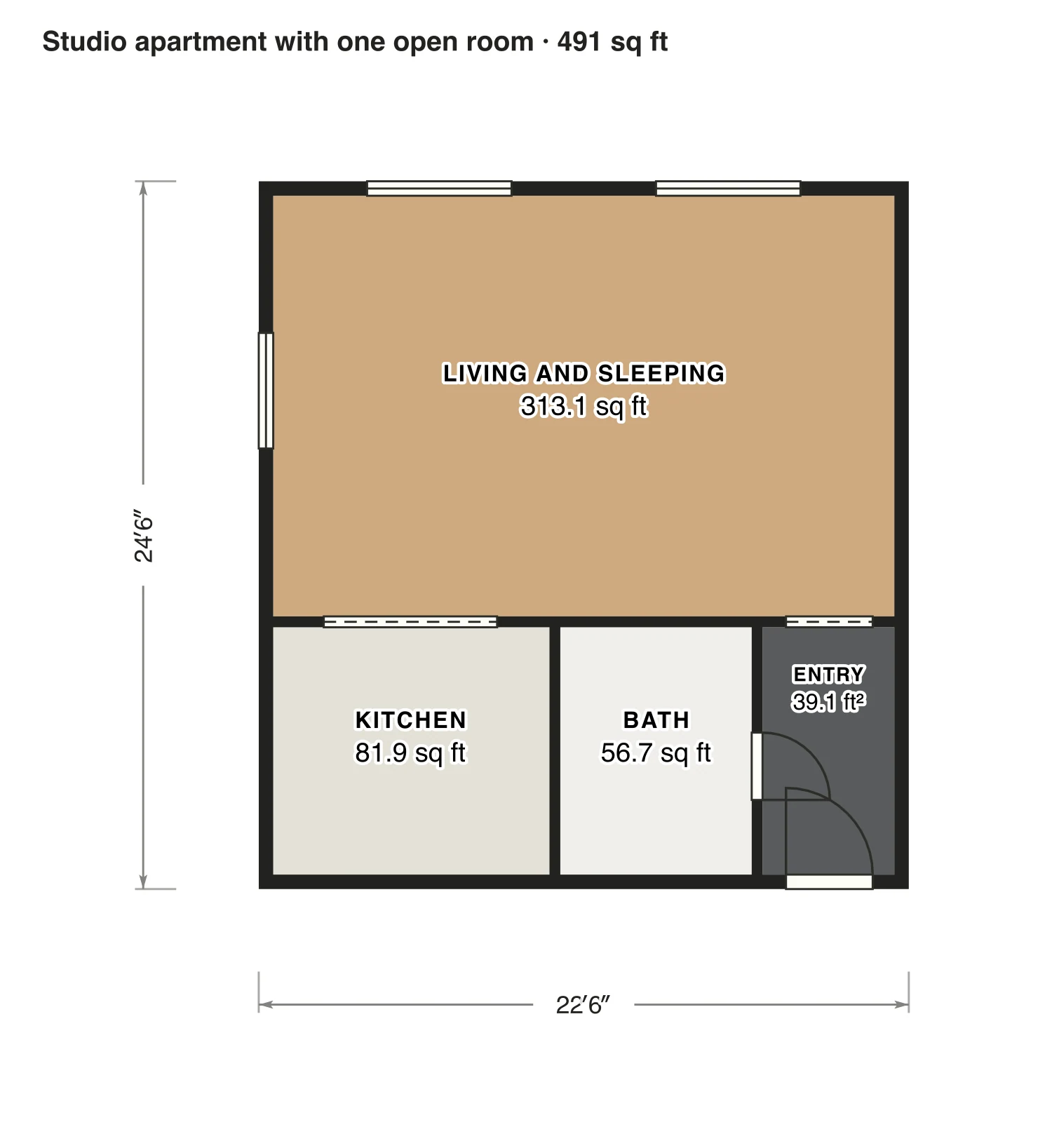 Studio apartment with one open room floor plan: 491 sq ft (46 m²) inside the walls, studio, 1 bath · one floor, drawn to scale with every room labeled.