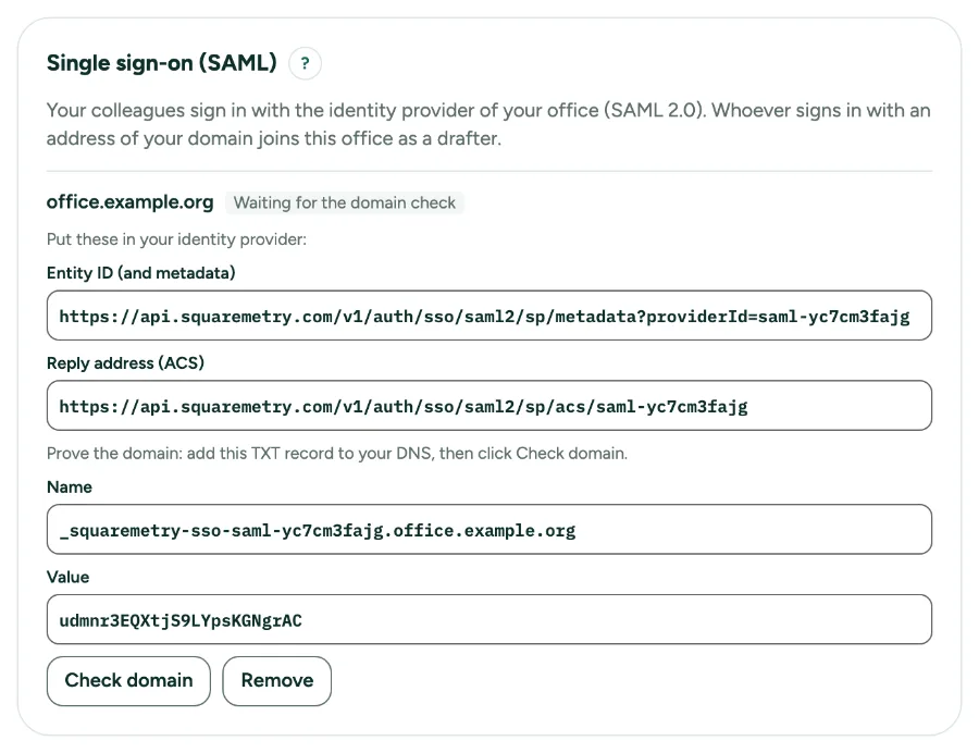 Settings, Team, with Single sign-on: our details, the TXT record and Check domain.